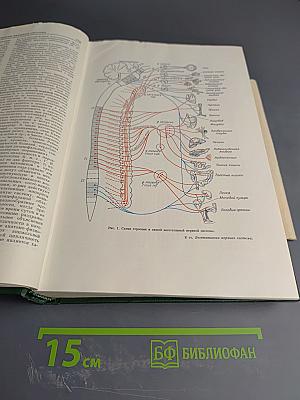 Малая медицинская энциклопедия. Том 2. Бронхоаденит – Гониотомия