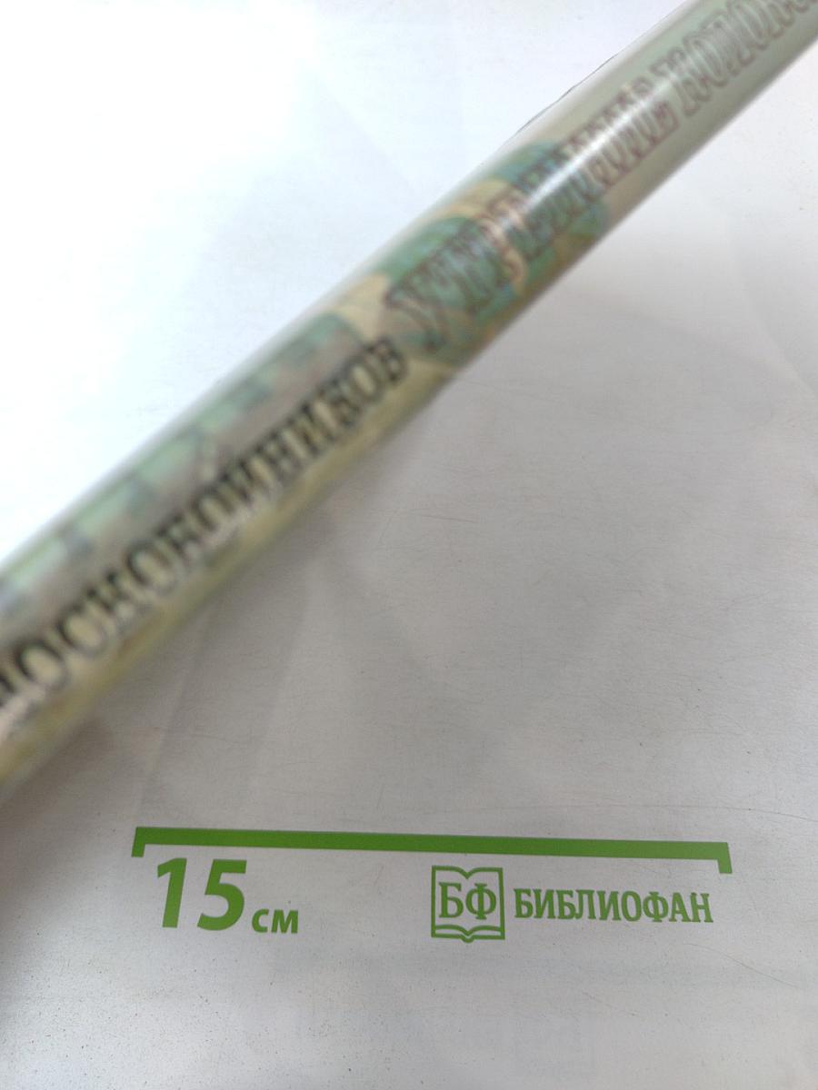 Утренние колокола