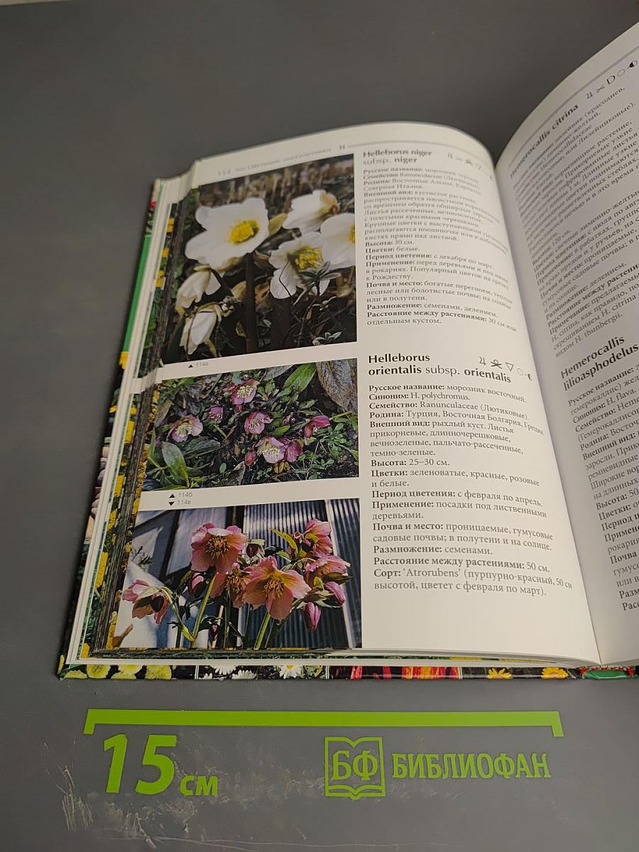 Атлас цветущих растений