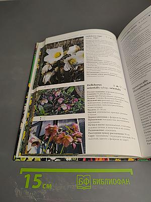Атлас цветущих растений