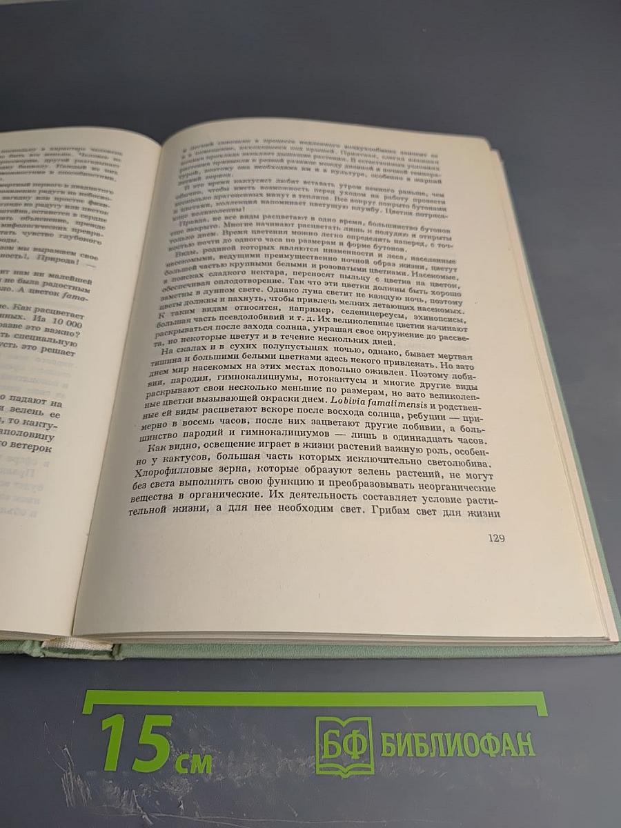 Колючее чудо