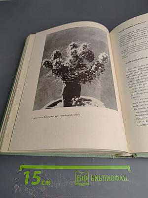 Колючее чудо