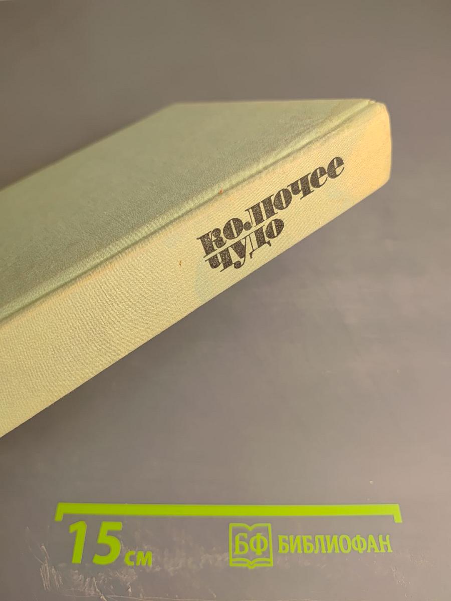 Колючее чудо