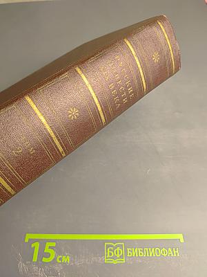 Русские повести XIX века. 40-50-х годов. Том второй