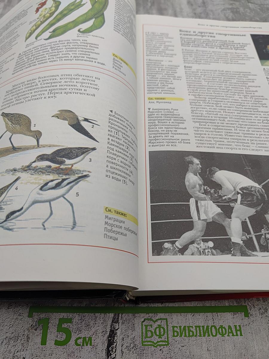 Oxford Большая Энциклопедия Школьника