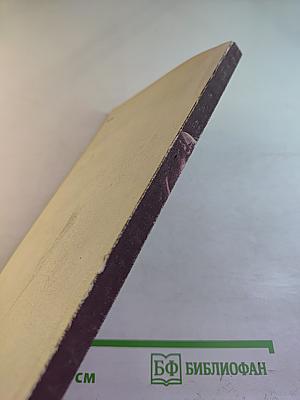 Я пел с Тосканини