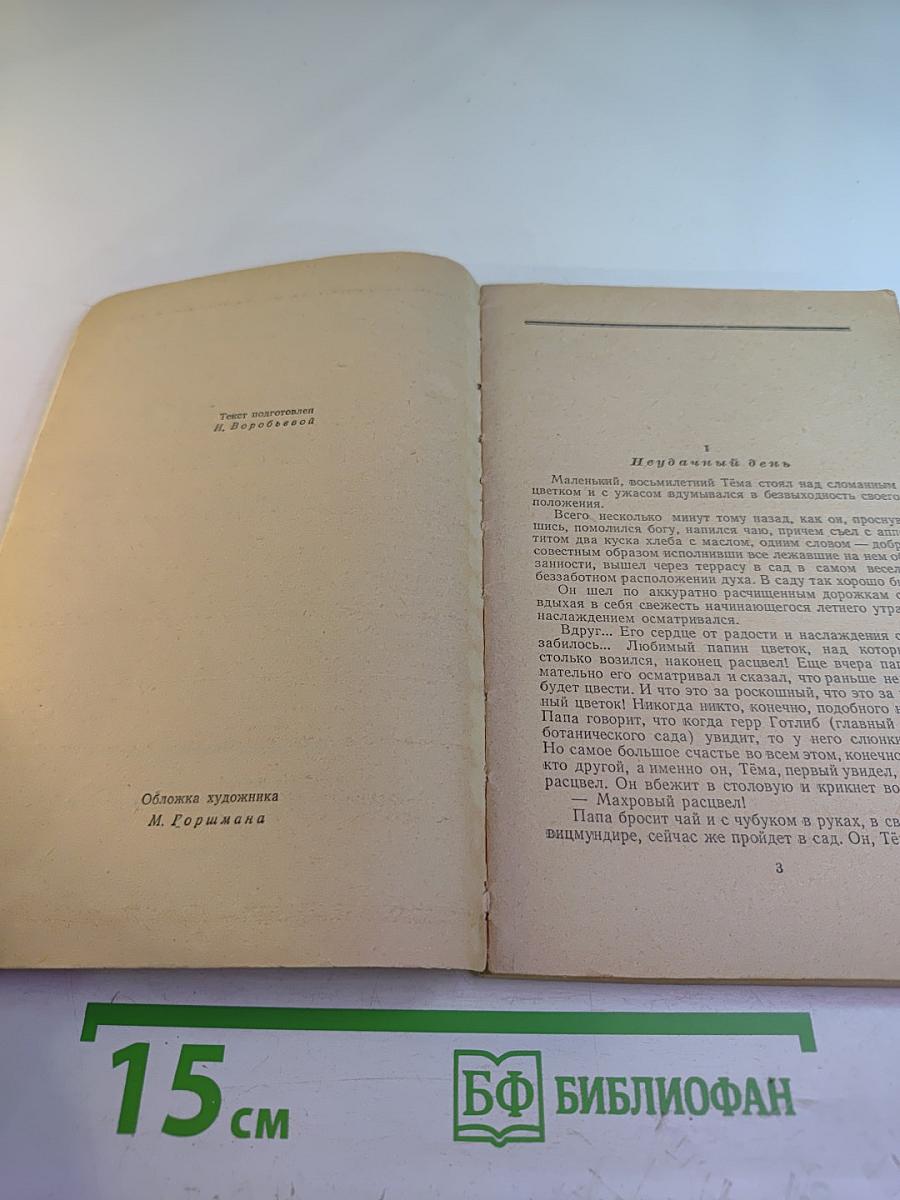 Детство Тёмы