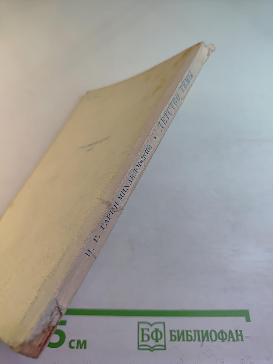 Детство Тёмы