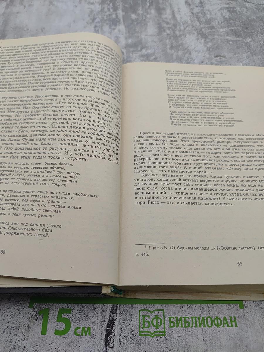 ОЛИМПИО или Жизнь Виктора Гюго Литературные портреты