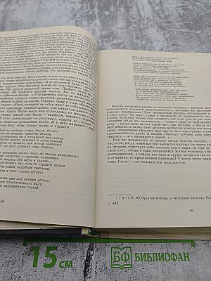 ОЛИМПИО или Жизнь Виктора Гюго Литературные портреты