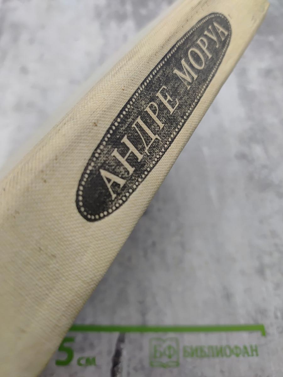 ОЛИМПИО или Жизнь Виктора Гюго Литературные портреты