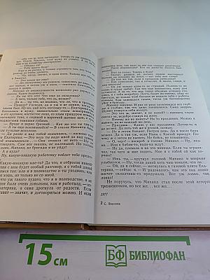 Встреча на деревенской улице