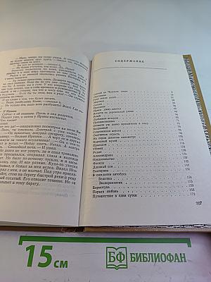 Встреча на деревенской улице