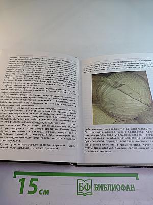 Растения на вашем столе