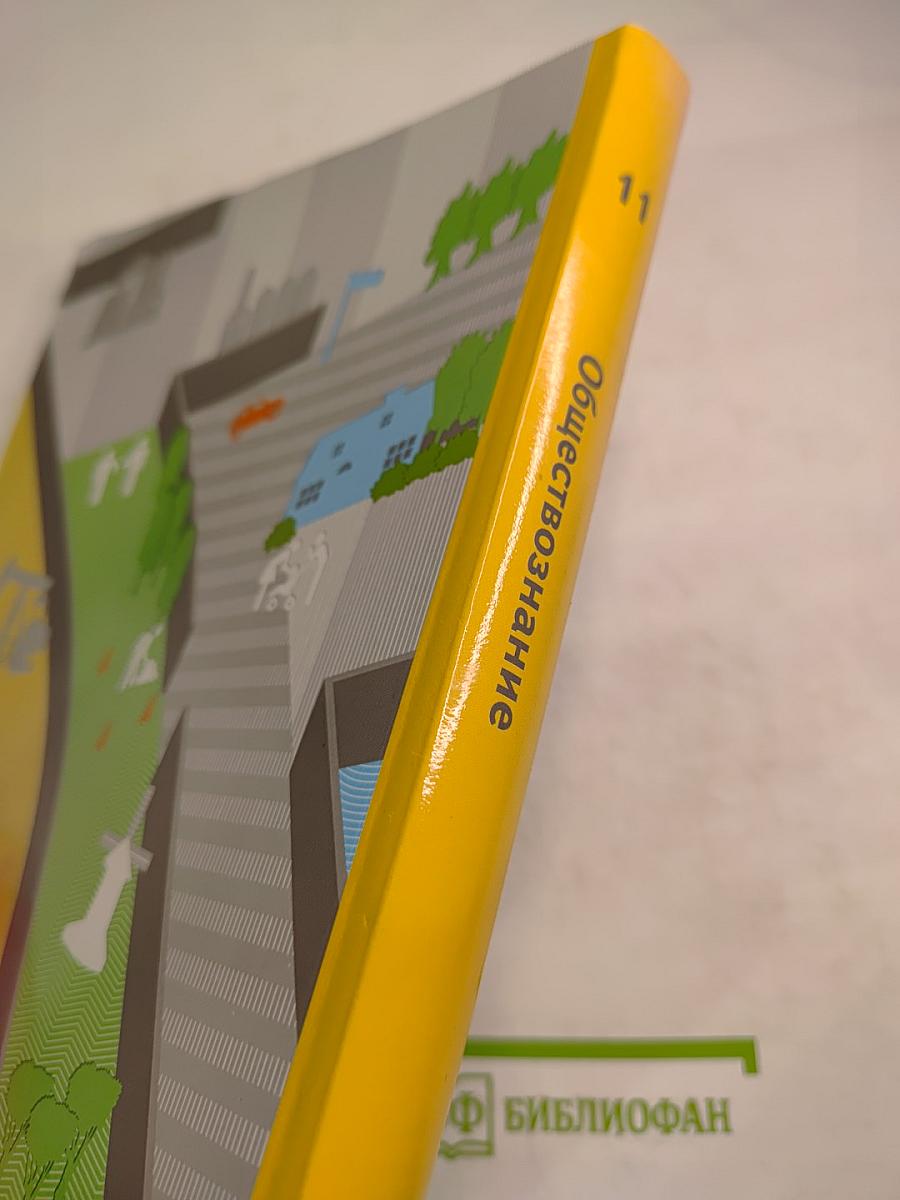 Обществознание 11 класс