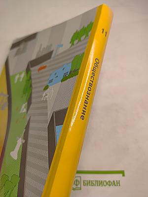 Обществознание 11 класс