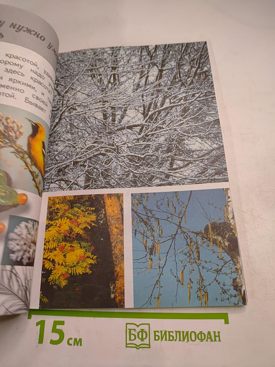 Изобразительное искусство. Ты изображаешь, украшаешь и строишь. 1 класс