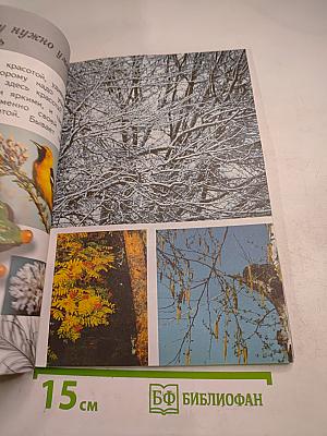 Изобразительное искусство. Ты изображаешь, украшаешь и строишь. 1 класс