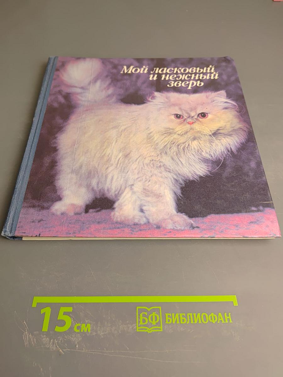 Мой ласковый и нежный зверь