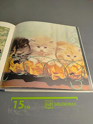 Мой ласковый и нежный зверь