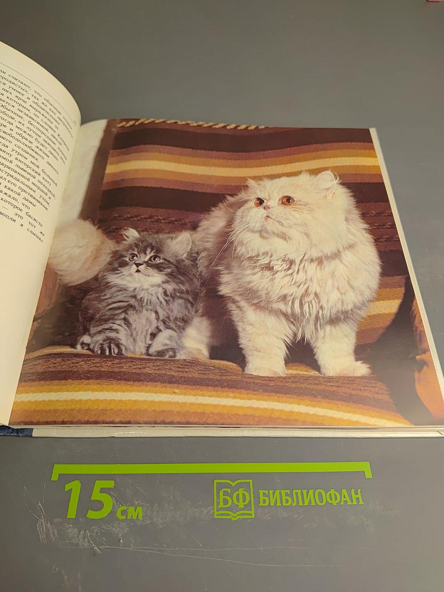 Мой ласковый и нежный зверь