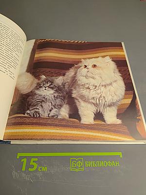 Мой ласковый и нежный зверь