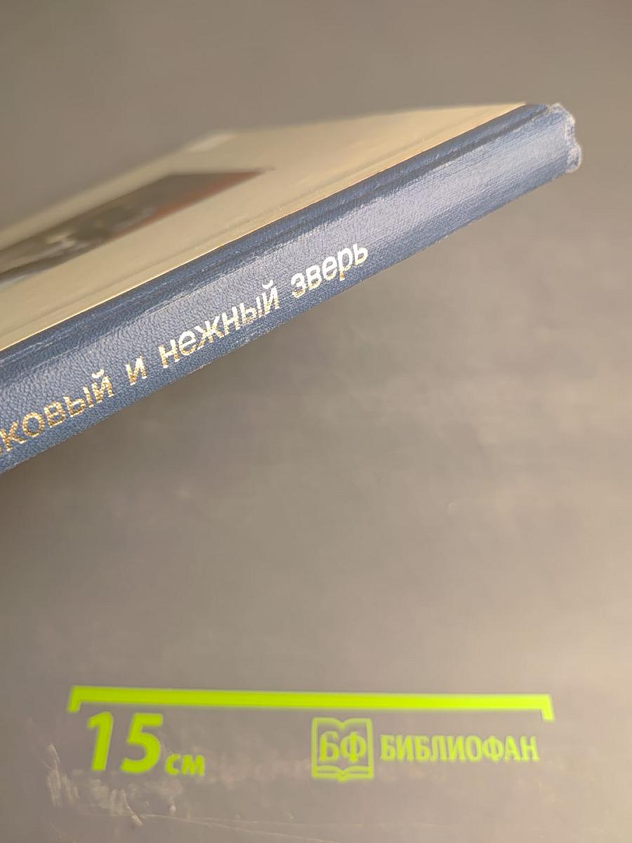 Мой ласковый и нежный зверь