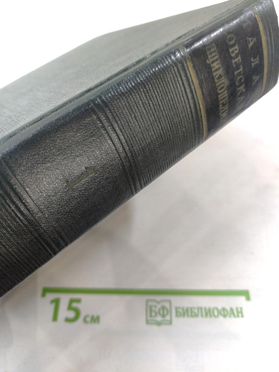 Малая Советская Энциклопедия. Том 1: А - Буковина