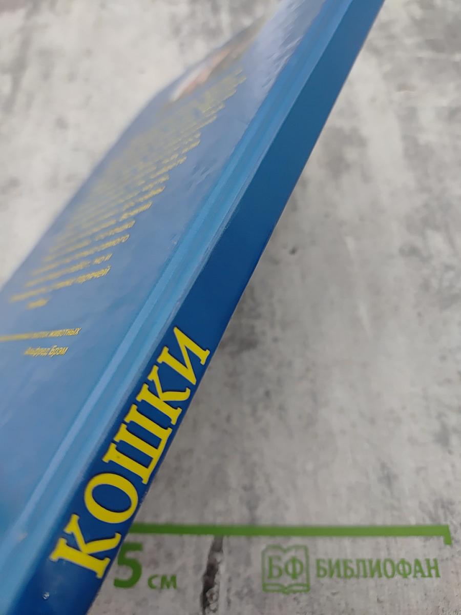 Кошки. Породы, стандарты