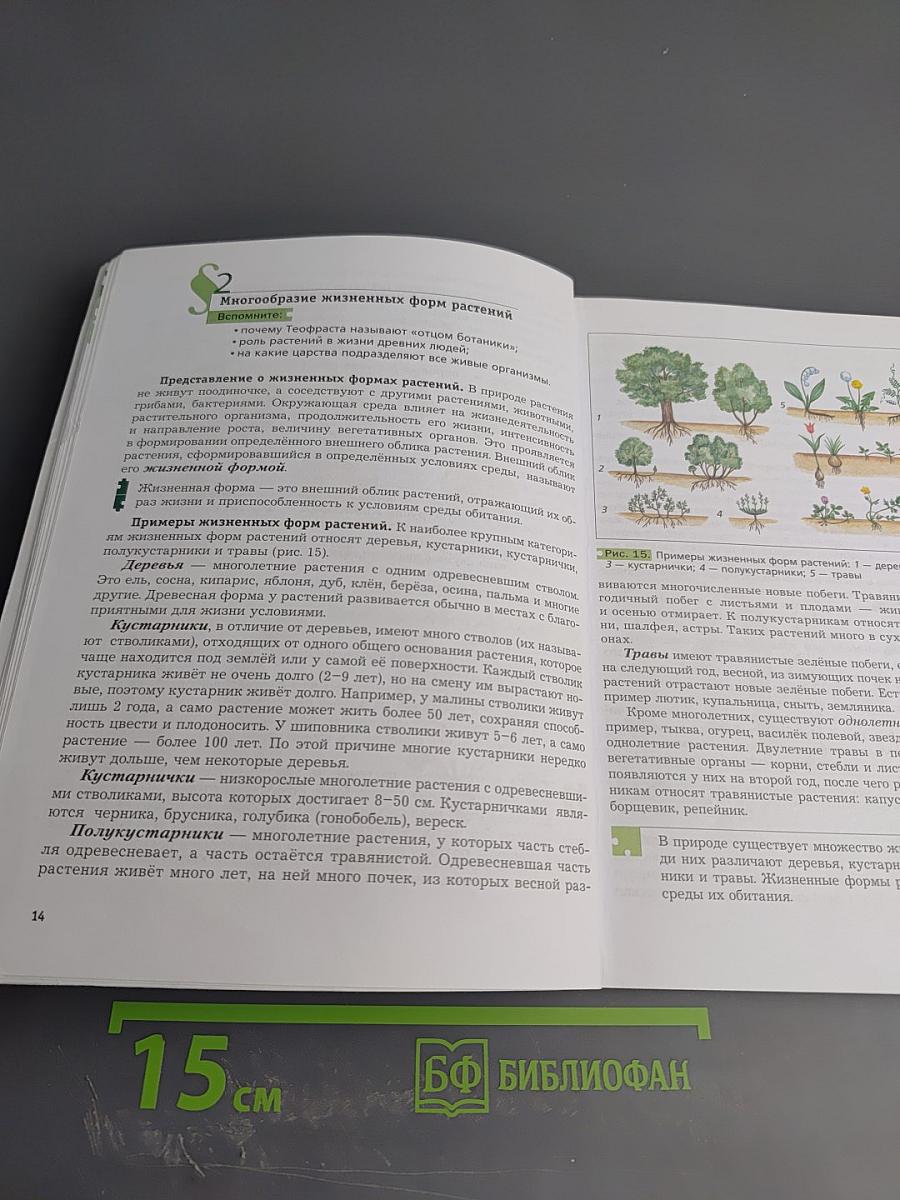 Биология 6 класс