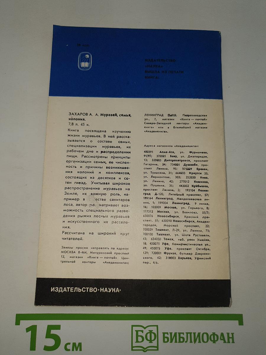 Год в Антарктике