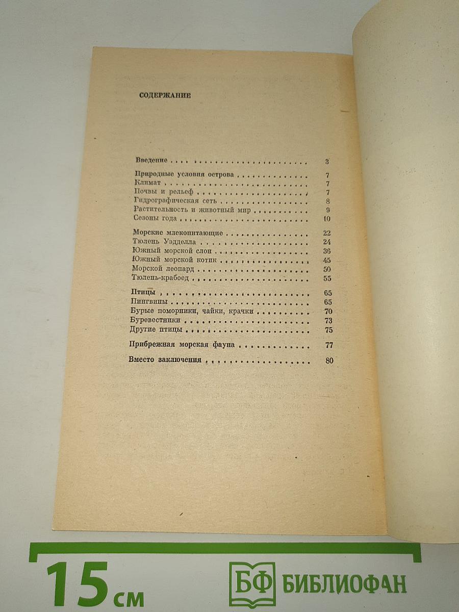 Год в Антарктике
