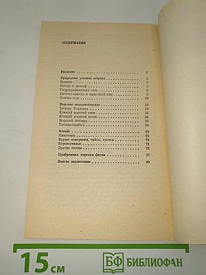 Год в Антарктике