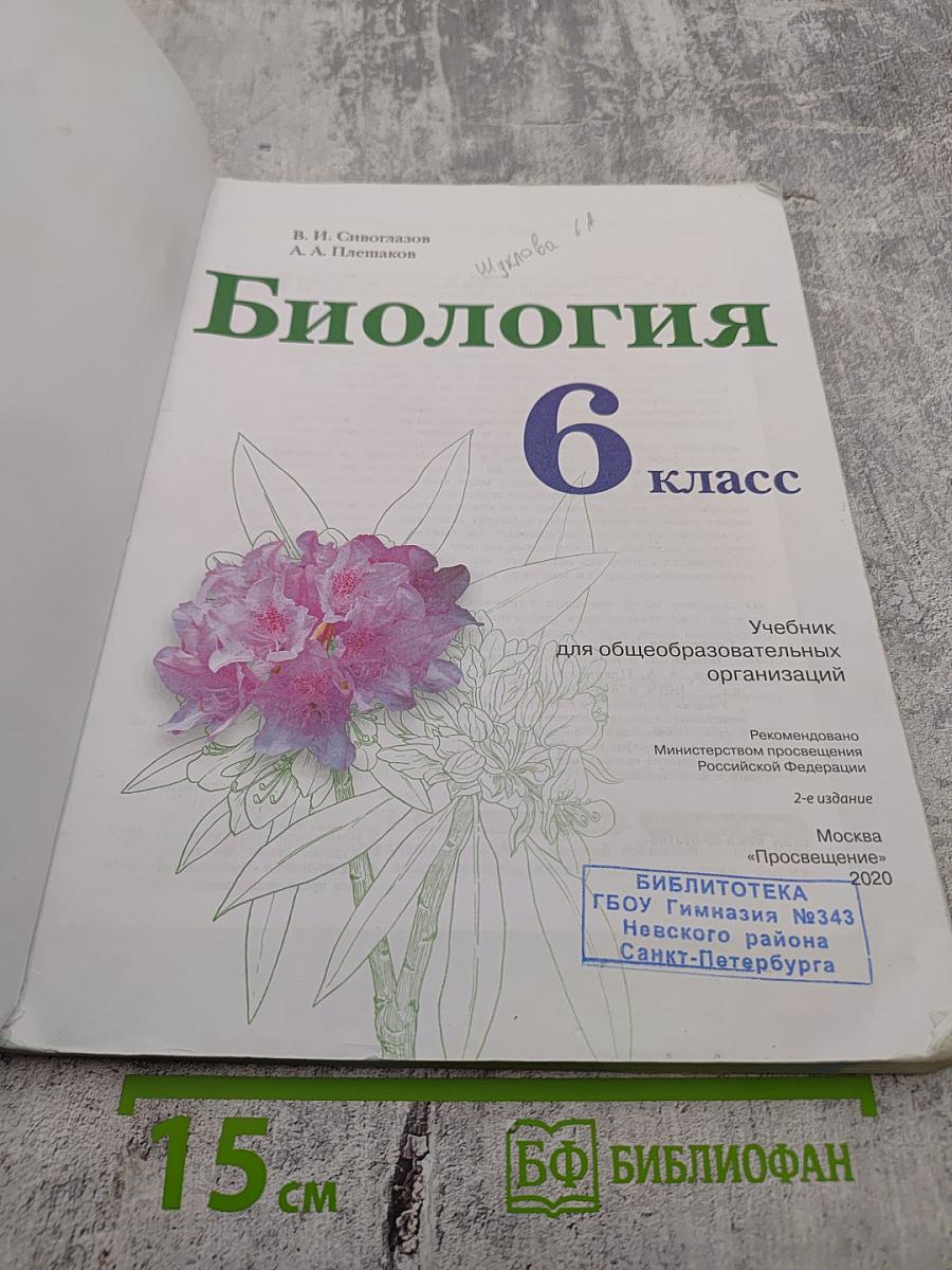 Биология 6 класс