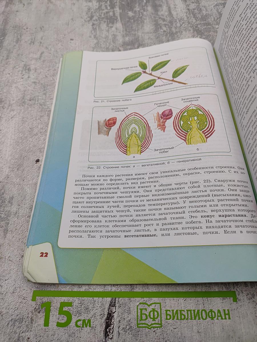 Биология 6 класс