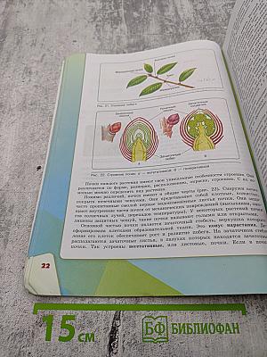 Биология 6 класс