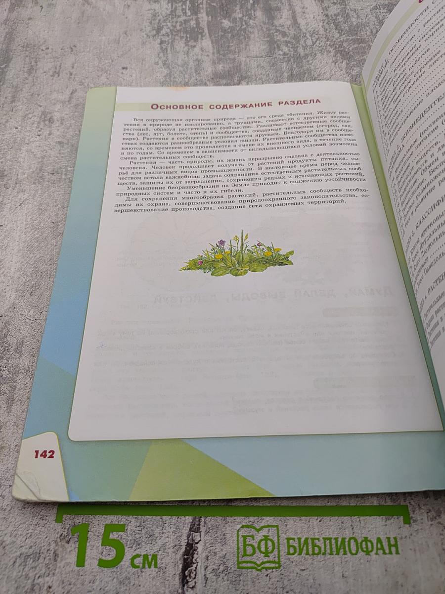 Биология 6 класс