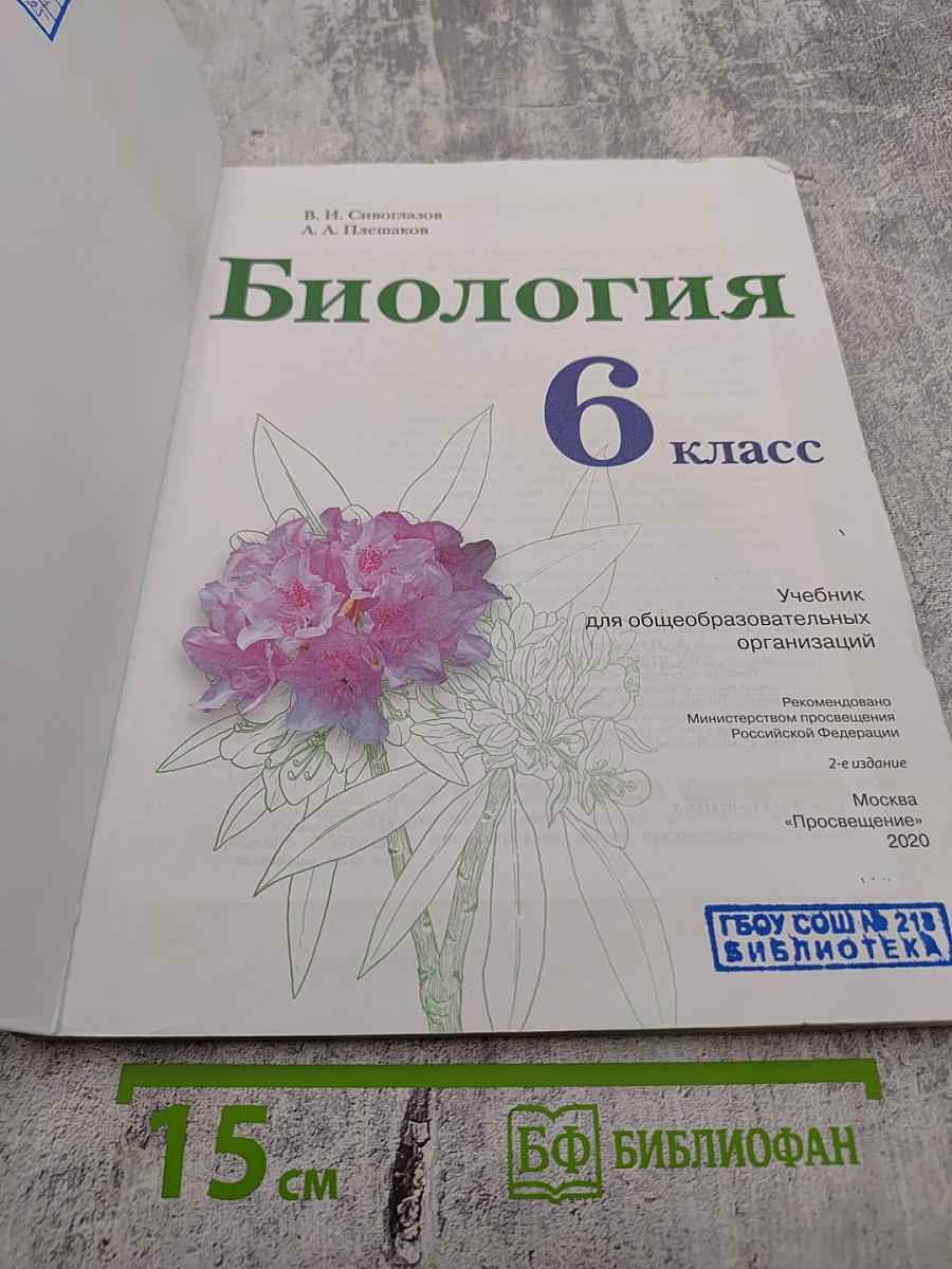 Биология 6 класс