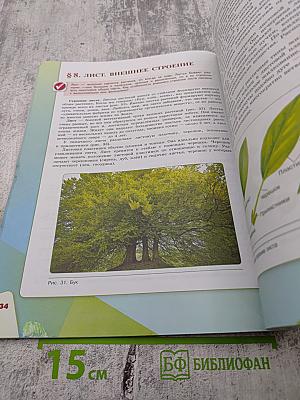 Биология 6 класс