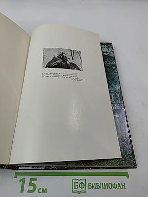 Пригороды Ленинграда. Пушкин