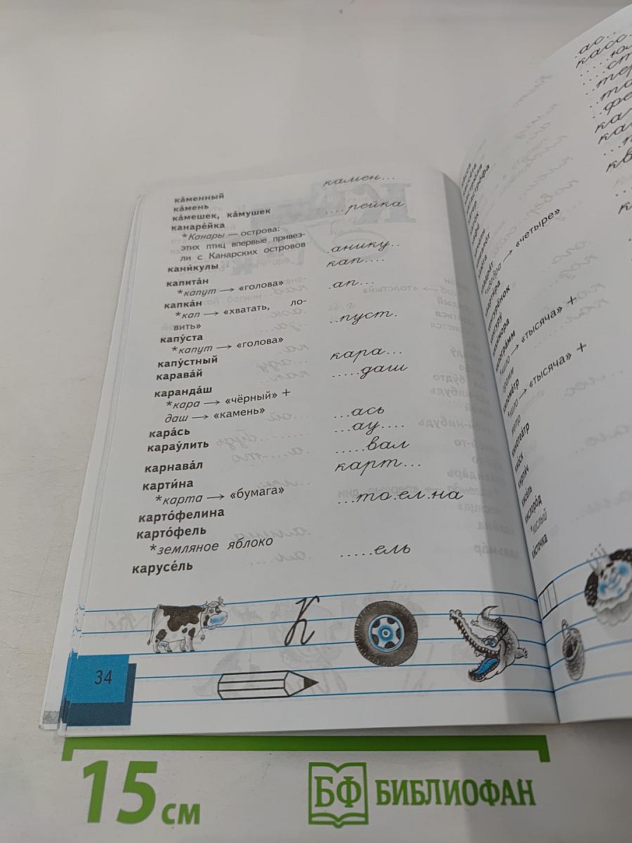 Пишу правильно. Орфографический словарь