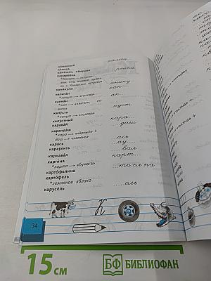 Пишу правильно. Орфографический словарь