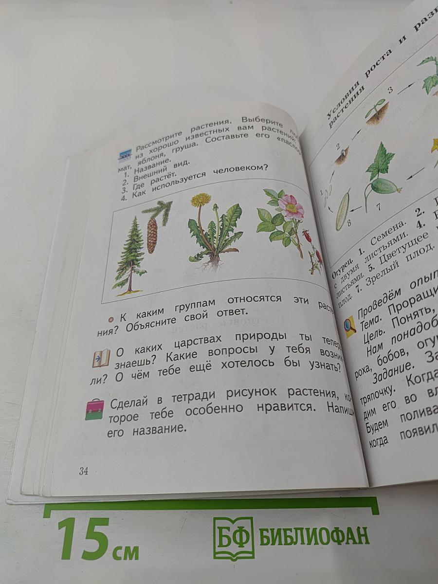 Окружающий мир. 2 класс. Часть вторая