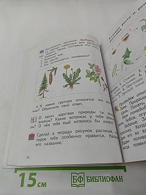 Окружающий мир. 2 класс. Часть вторая