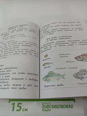 Окружающий мир. 2 класс. Часть вторая