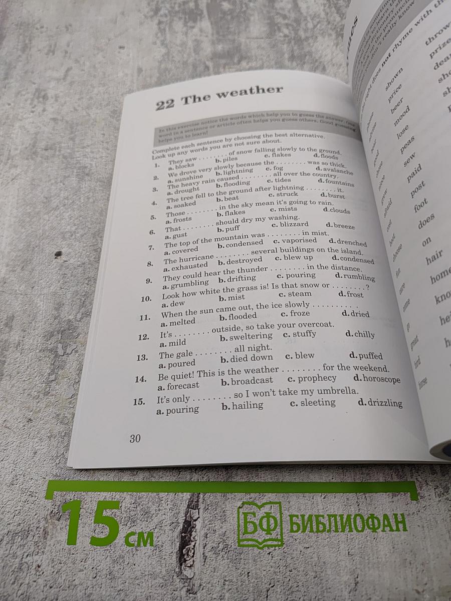 Build Your Vocabulary 2: Изучаем английские слова Книга 2