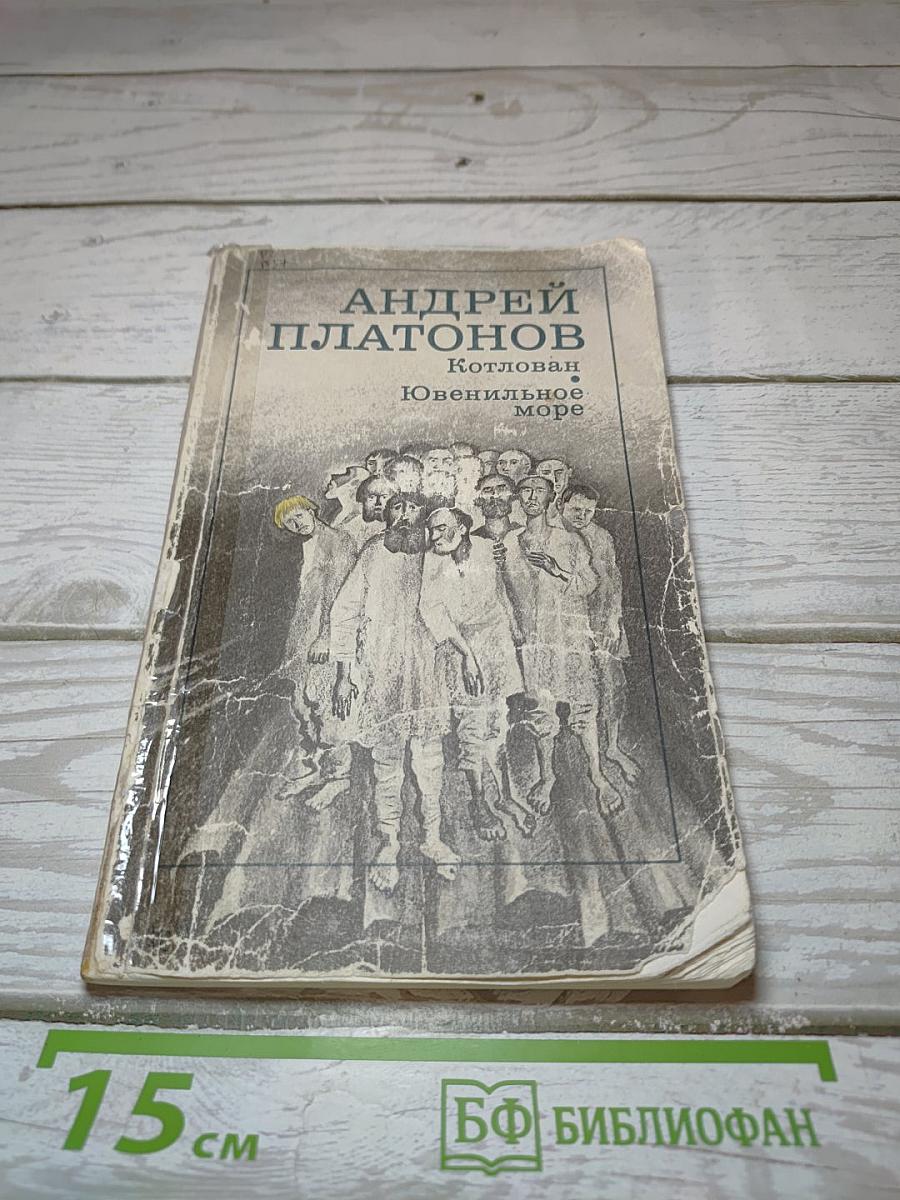 Котлован. Ювенильное море
