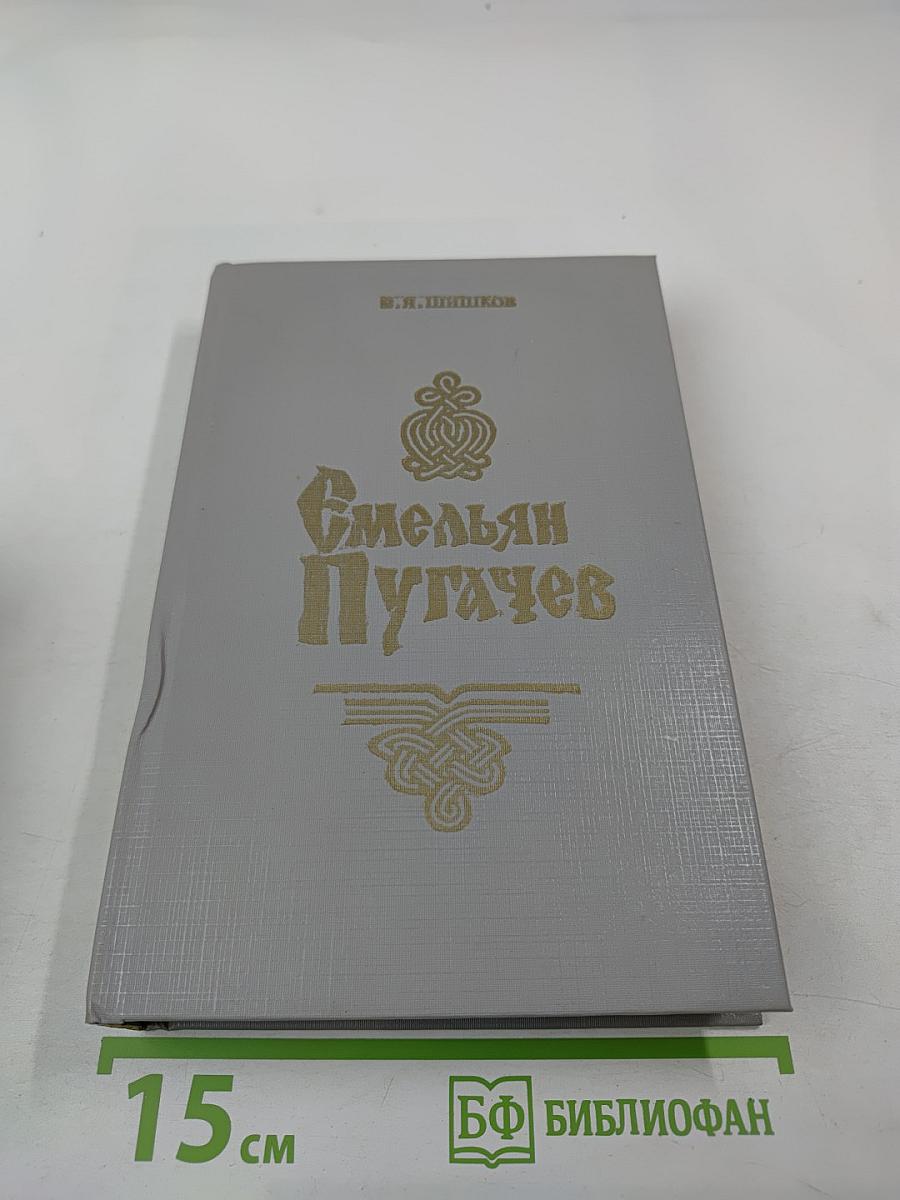 Емельян Пугачев. Книга третья