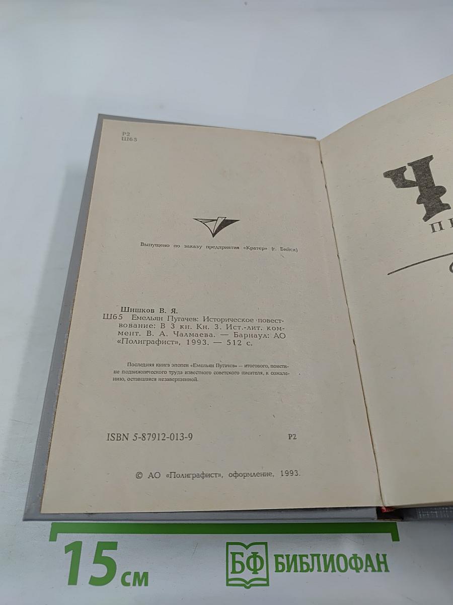 Емельян Пугачев. Книга третья