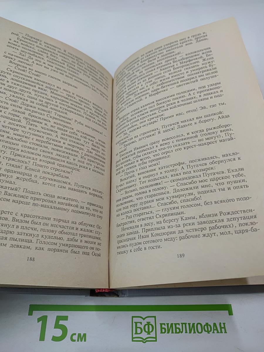 Емельян Пугачев. Книга третья